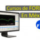 cursos-forex-en-mexico-farwellinvestor
